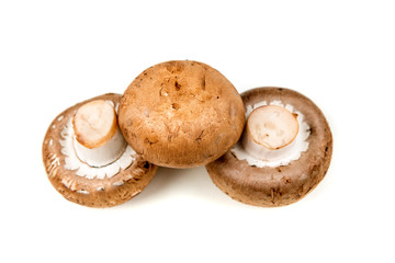 Fresh white mushrooms isolated on a white background