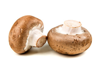 Fresh white mushrooms isolated on a white background