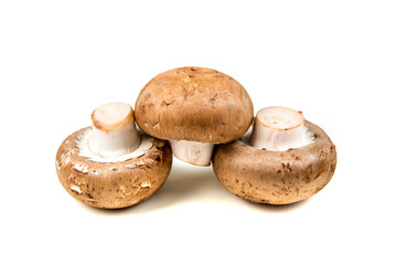 Fresh white mushrooms isolated on a white background