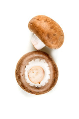 Fresh white mushrooms isolated on a white background