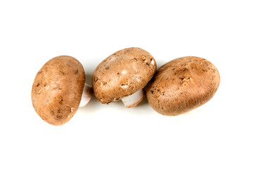 Fototapeta premium Fresh white mushrooms isolated on a white background