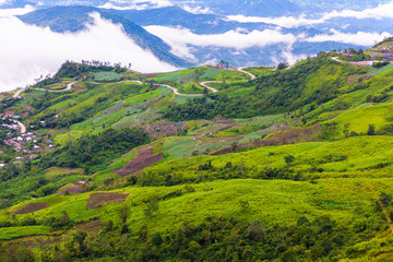 Obraz premium Mountain road at ( phu tubberk) in Phu Hin Rong Kla National Par