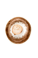 Fresh white mushrooms isolated on a white background