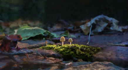 Painting of Mushrooms and Moss