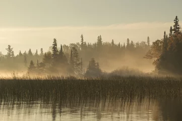 Keuken foto achterwand Mistig bos Dageraad op de rivier in Noord-Ontario