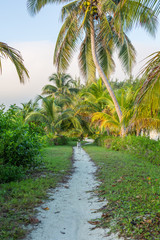 Obraz na płótnie Canvas Island Pathway