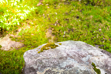 Phu Hin Rong Kla National Park, Phitsanulok Province
