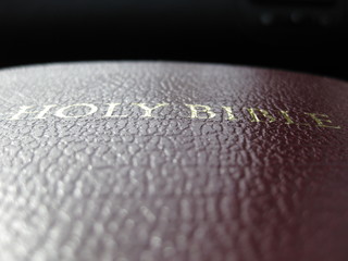 The Holy Bible