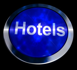 Blue Hotel Button For Travel 3d Rendering