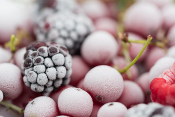 frozen berries
