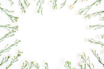 Wildflowers frame on white background. Flat lay, top view.