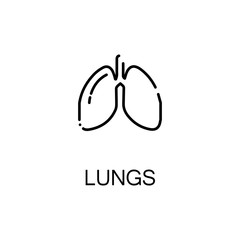 Lungs  flat icon or logo for web design.