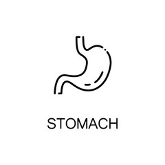 Fototapeta premium Stomach flat icon or logo for web design.