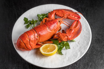 高級ロブスター　 High-quality lobster