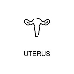 Uterus  flat icon or logo for web design.