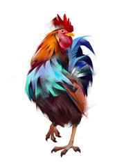 painted rooster on a white background © khius
