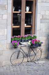Fototapeta na wymiar Bicycle flowers and wall brick