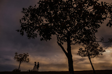 wedding bride groom sky