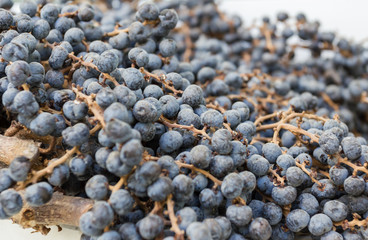 Dry blueberries