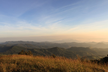 Obraz premium Landscape with the green grass on mountain in sunrise, Doimonjong Thailand