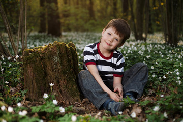 little boy in forest on flowers field