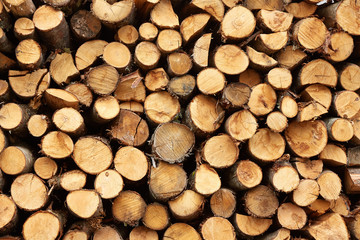 pile of firewood background pattern