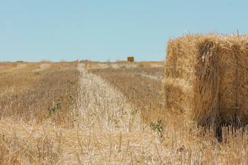 Stack of hay in Spain, with copyspace © laplateresca