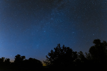 Fototapeta na wymiar Millions of stars above the treetops. Night background.