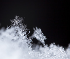 natural snowflakes, photo real snowflakes during a snowfall, under natural conditions at low temperature