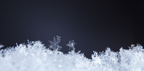 photo real snowflakes during a snowfall, under natural conditions at low temperature