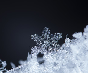 photo real snowflakes during a snowfall, under natural conditions at low temperature