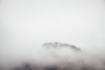 Tops of trees on hill sticking out of fog. Racha-Lechxumi region, Georgia. Minimalism in nature concept