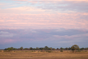 Naklejka na ściany i meble morning in savanna