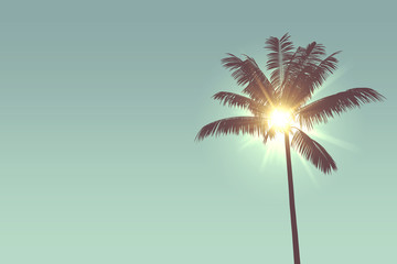 Tropical palm tree silhouette against bright sunlight - obrazy, fototapety, plakaty