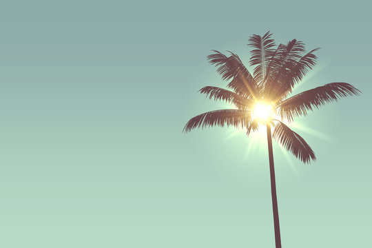 Tropical palm tree silhouette against bright sunlight