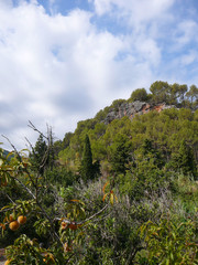 Serra de Tramuntana mountain in Soller