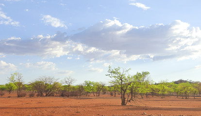 Fototapeta na wymiar Kalahari