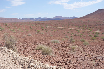 Namibian landscape