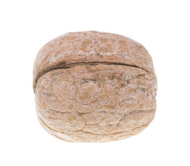 walnuts on a white background