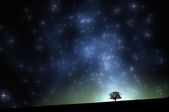 Surreal night landscape. Tree on hill with stars and milky way on the vivid sky