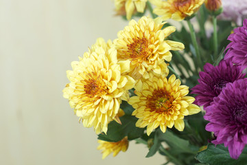 chrysanthemum flower