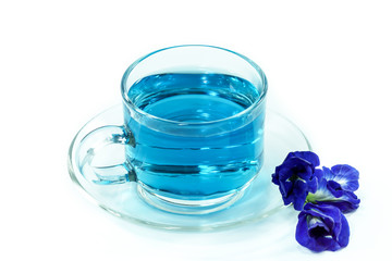 blue tea from Butterfly pea flower