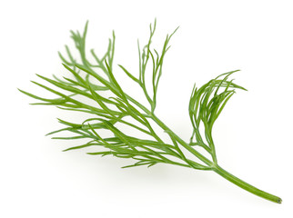 Fresh dill