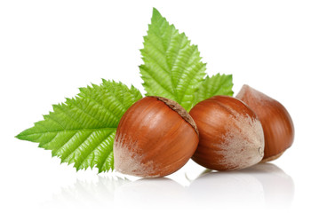 Hazelnuts and leaf