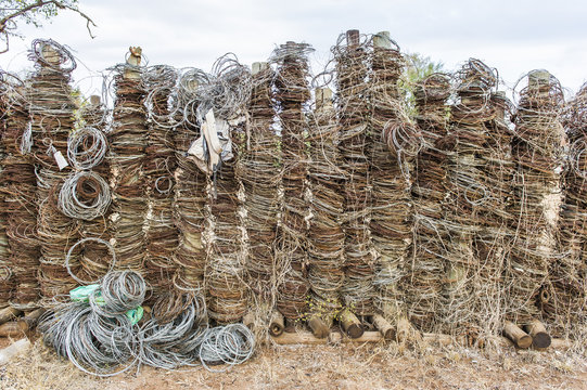 Snares recovered during patrols and placed on display