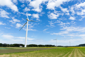 Green meadow with Wind turbines