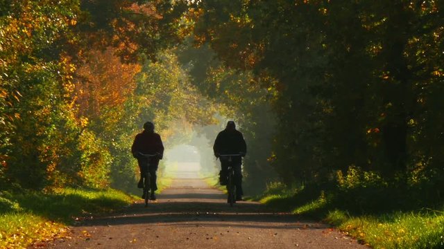A retired couple riding a bicycle on long colorful avenue in autumn 11812. People are NOT recognizable!

