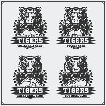 Volleyball, baseball, soccer and football logos and labels. Sport club emblems with tiger.