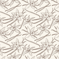 Vanilla stick and flower vector hand drawn seamless pattern