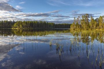 Bright summer sunset over the lake in the woods, Sweden around town Dorotea